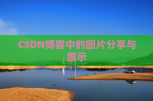 CSDN博客中的图片分享与展示